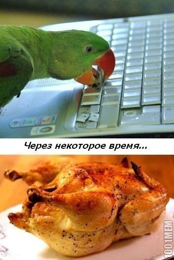 Злой пользователь ПК=)