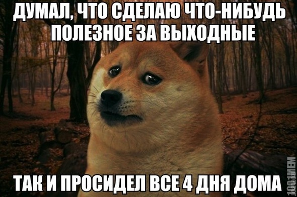 бля