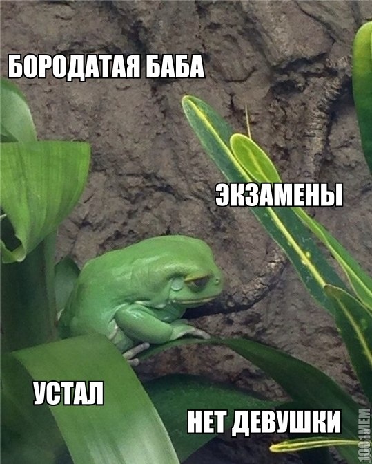 димпрс(