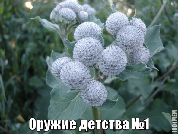 оружие