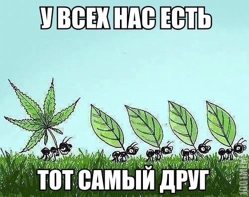 У всех есть такой друг