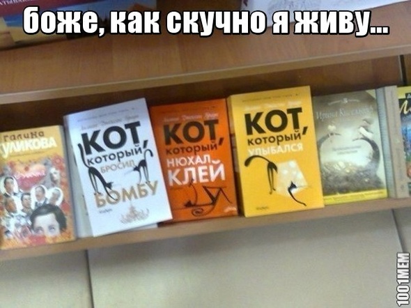 о коте