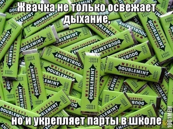 Жвачка