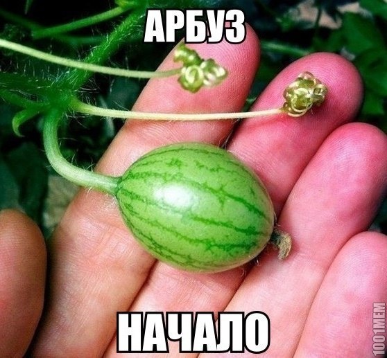 начало