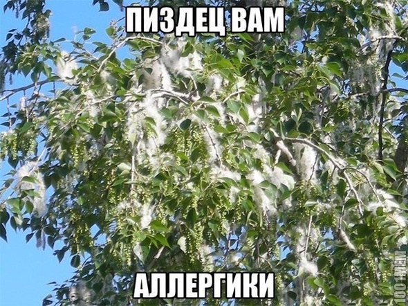 пиздец вам