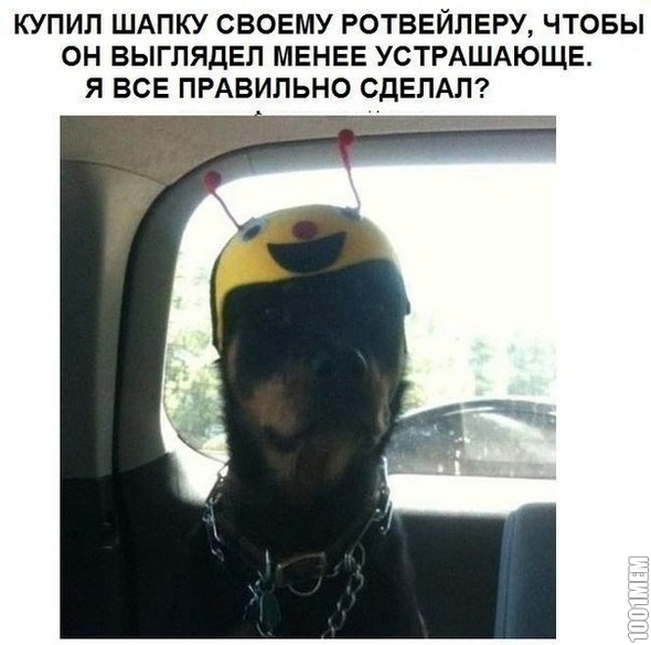 Страшный)