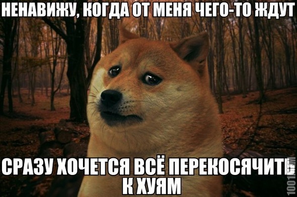 Подпишись,братюня)