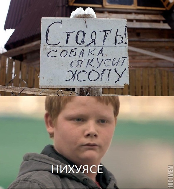 Нихуясе