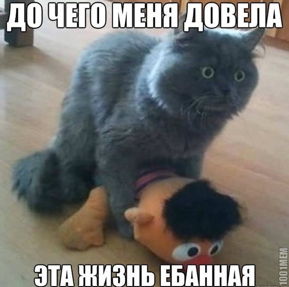 жизнь...