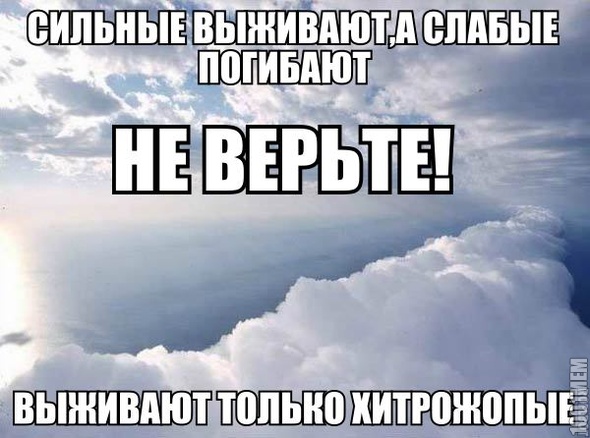 не верьте