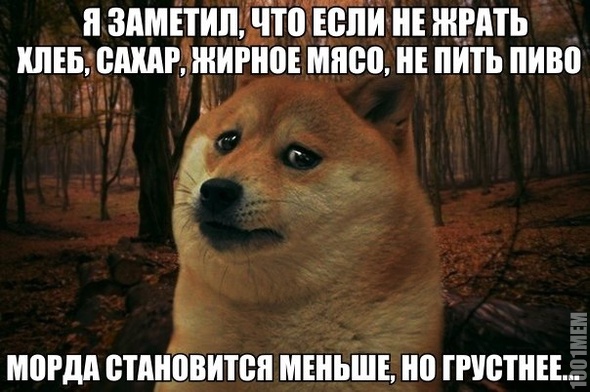 меньше, но грустнее