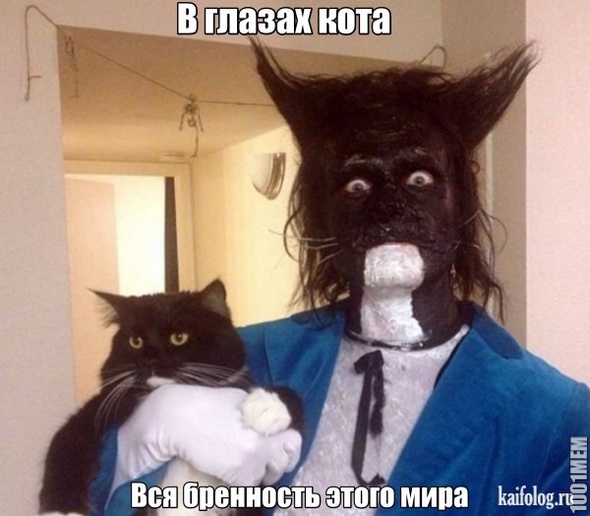 Котэ-бедный