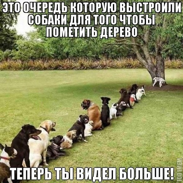 в очередь!