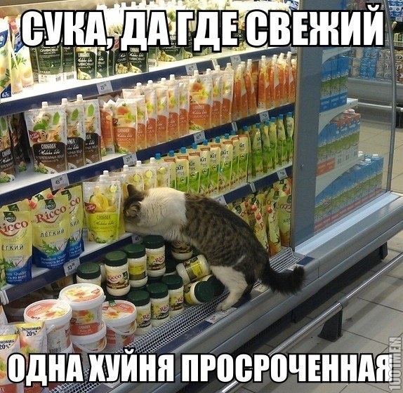 знаток по продуктам