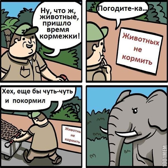 не кормить