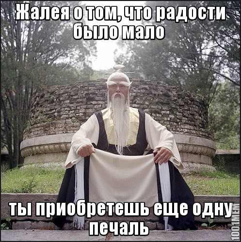 не жалей