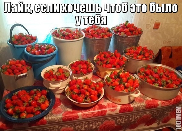 клубника