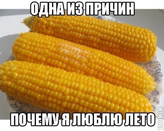 Кукурузка