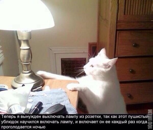 Котэ