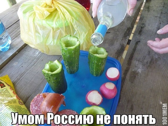 Ум и Россия