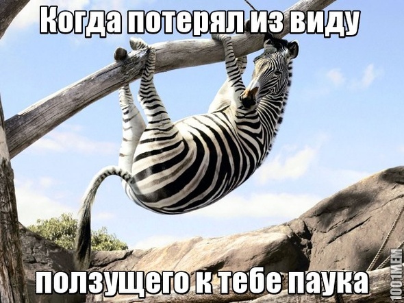 Аблякудаонделся