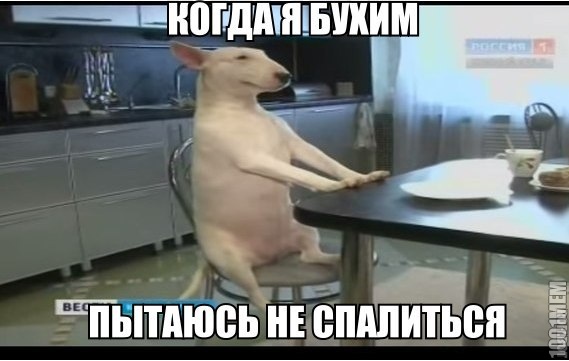 не спалиться