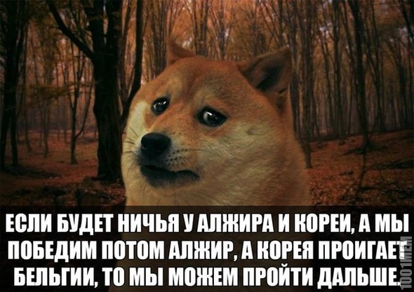 Вот бы вот бы!!