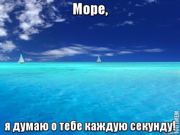 море