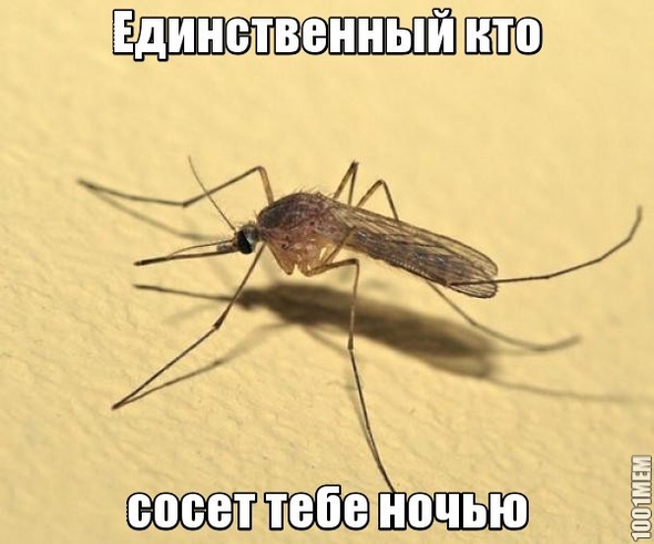 Комар)