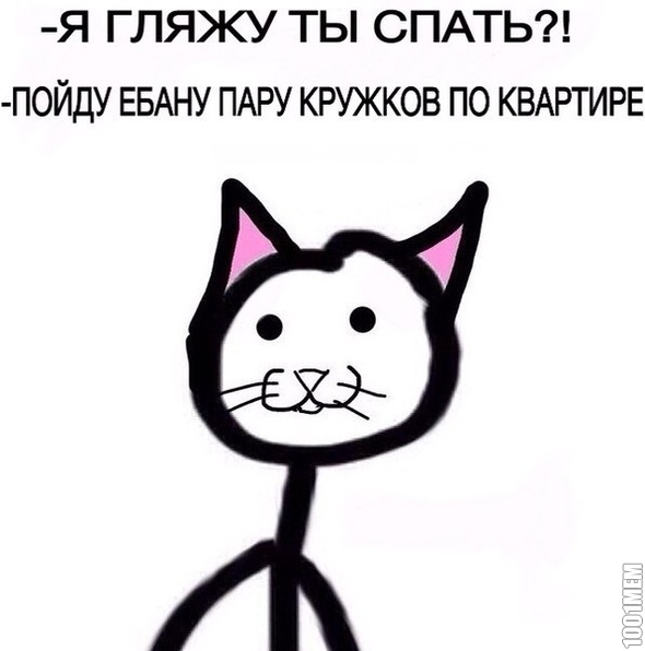 котейки