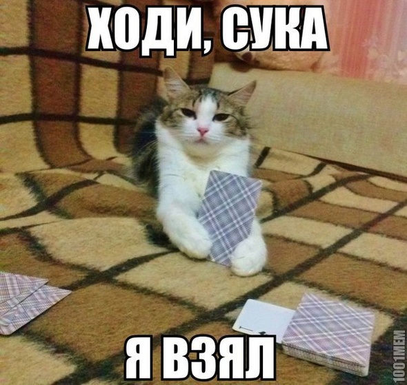 он взял