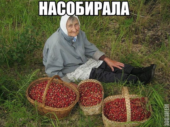 насобирала