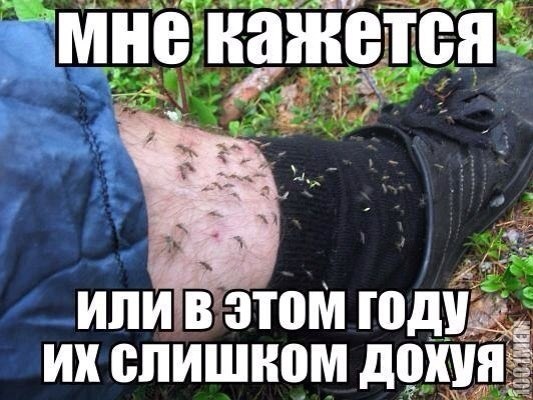 слишком