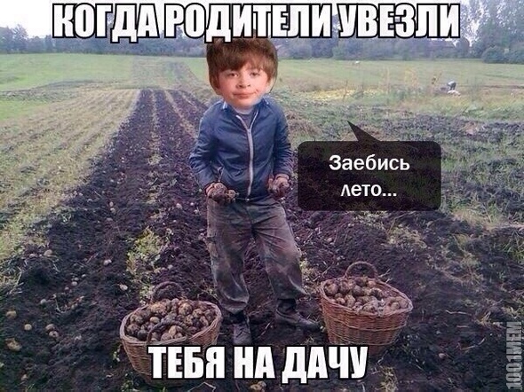 збс лето аахха