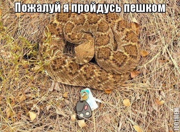 Ключи