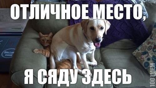 супе