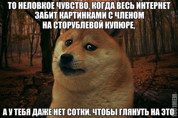 сотка