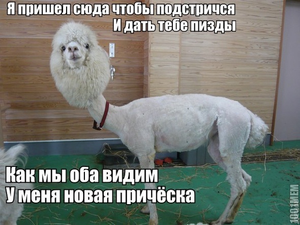 причъ