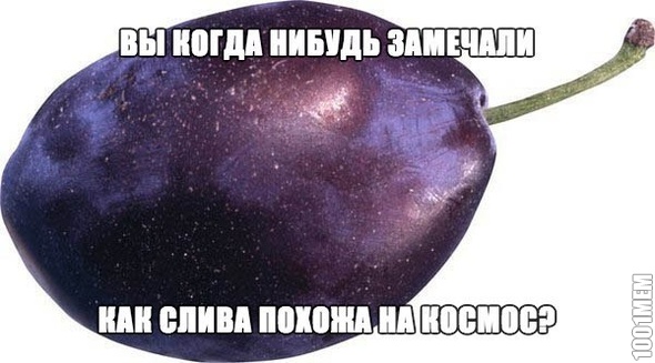 слива