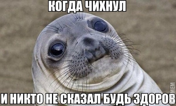 суууууки