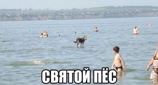 Вода))))))