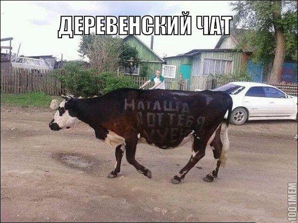 Чатик