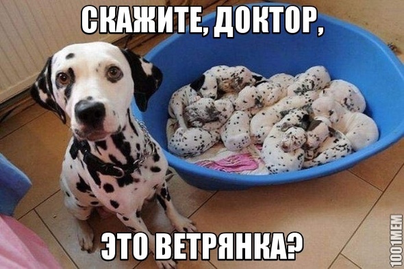 Ветрянка?