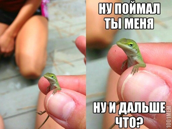 что джальш?