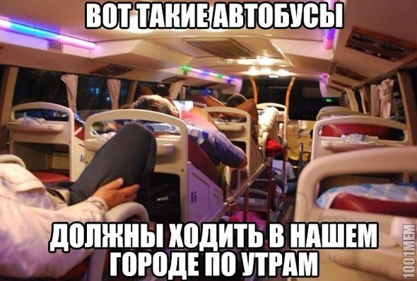 автобусы