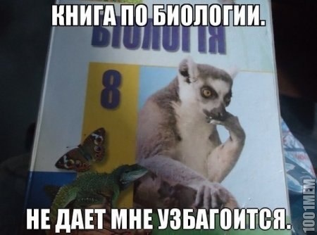 ты не збагоен!