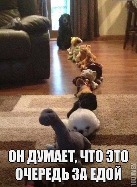 в очередь!^^