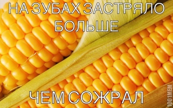 кукуруз