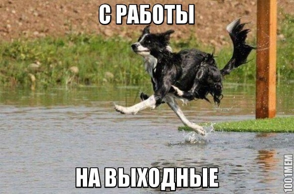 С работы