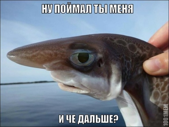 Дальше план Б